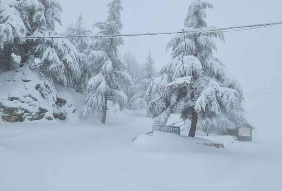 השלג באתר החרמון, היום // צילום: דוברות אתר החרמון